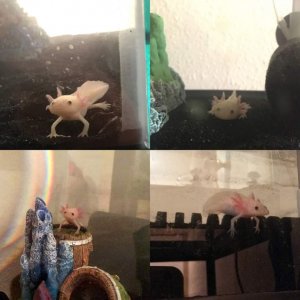 My two little guys.