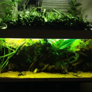 180l