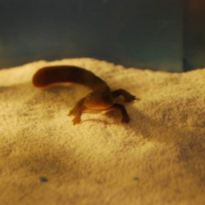 DSC 0178