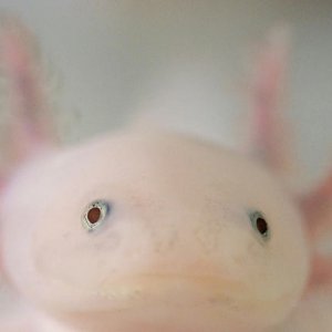 IMG 0630