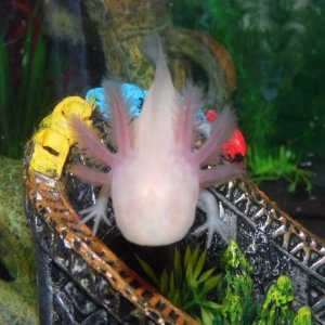Nearly five months old