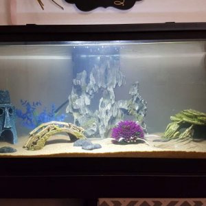 Full Tank