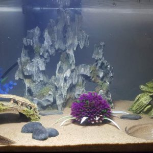 Middle Tank
