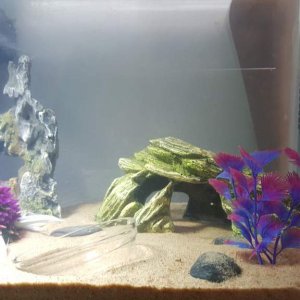 Right Side