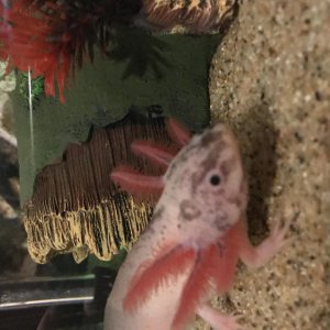 52938E08 F06D 48E1 ACE3 B950EE1EE763