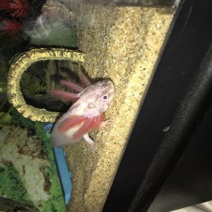 AB8DC751 4FC6 499C B567 5BF7757B1B77