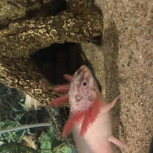 4BCAEF4A 675B 42D5 80AD 2C3D67CAB8AC