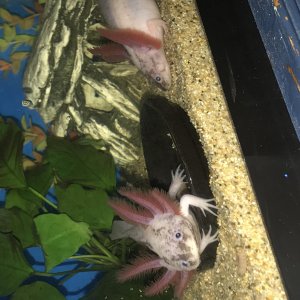 D146BC22 3DC6 41FB A806 8ABE62F04CF8