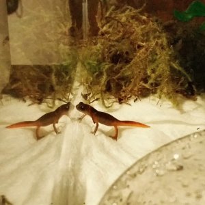 Such long little legs!!