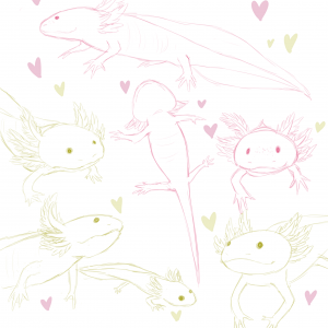 My first attempt at drawing them. It was good practice.