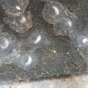 20180516 081307