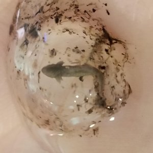 20180518 073234