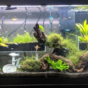 55g
