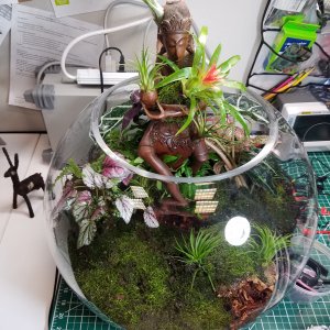 18: Statuette and cork bark tunnel are added to terrarium. Soil and moss are added between bark tunnel and embankment to connect them into a second la