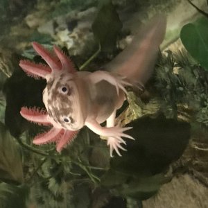 FAFDDE7C 9507 4C48 A4B5 46F8103FC1B2