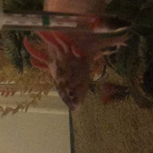 7E6F6FDC 6707 4DA4 B8CB DC3FCBE61361