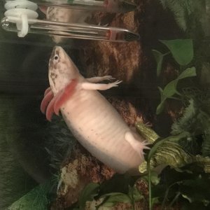 4834A1B7 7579 427C 900D D69BB6C746CB