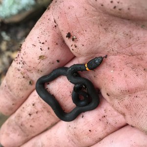 62B57E14 2E03 421A 9D49 4B7D3E29536B