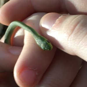 58211FBB DDAF 42B5 91D5 03A8032393F5