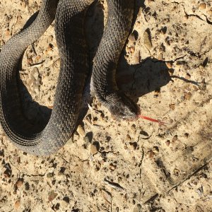 3A979921 28CC 43AC ABF9 C5940C21E6B9