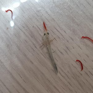 20190612 195507