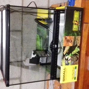 Paludarium