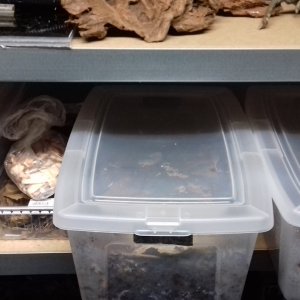 Wurm and Isopod cultures