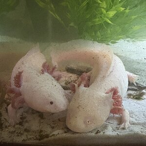 IMG_0489.jpeg