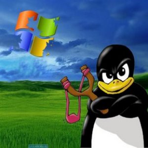 tuxs breaking window(s)