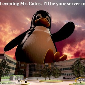 hehe do you think microsoft is running windows server at microsoft corp wel your wrong