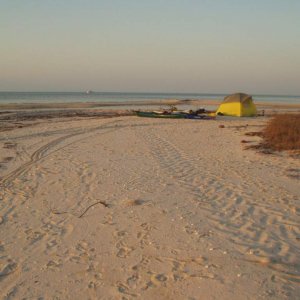 green sea turtle tracks: southern Florida kayak trip (We did not take any pictures of the turtle herself. She came up at night, and I was not sure if 
