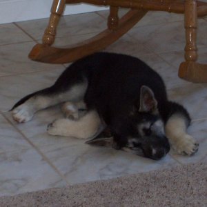 nap time