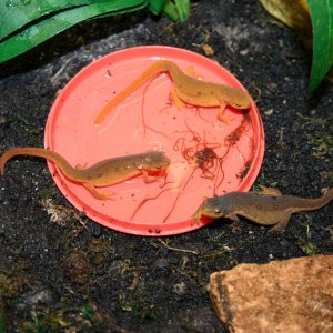 Feeding time