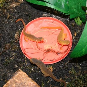 Feeding time
