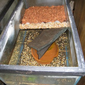 finished tank with water