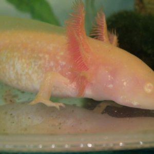 Getting a bit older now :3 -Lex-