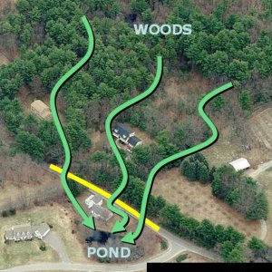 Vernal pool migration route