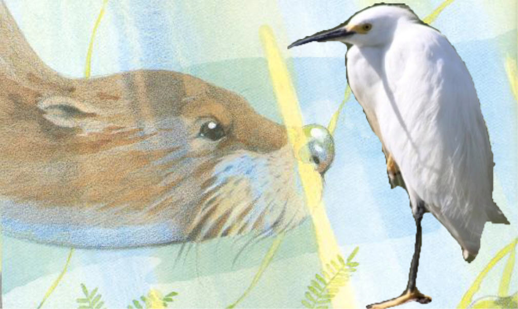 02 otter notices owl in his stork costume