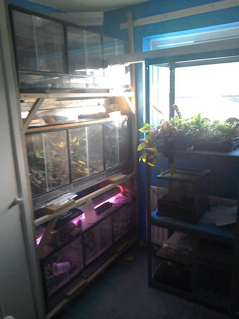 10540686 986422428057330 7007349364803098198 o