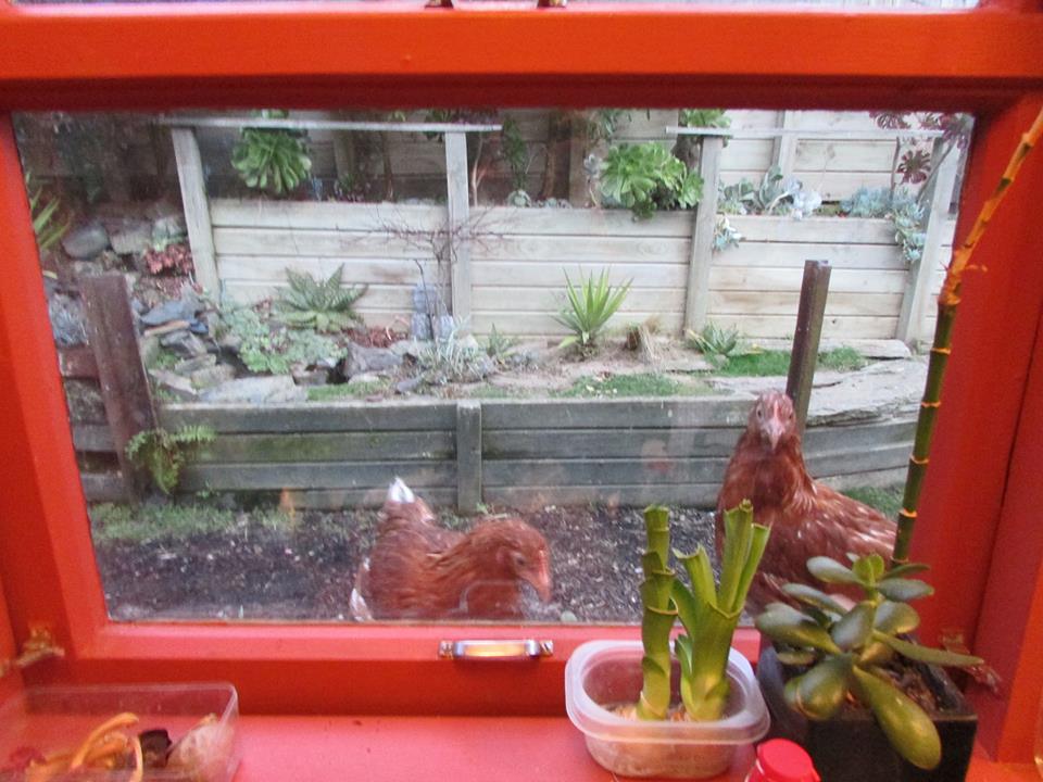 11094444 10152649123444364 1241162682510117324 n