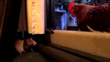 12718146 10152946418199364 1645164341104062919 n