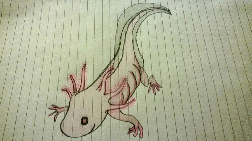 1607012 10203390801158833 287168786 n