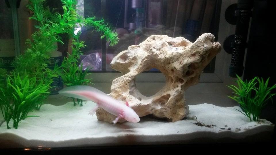 1782088 10203380408179015 2077733464 n