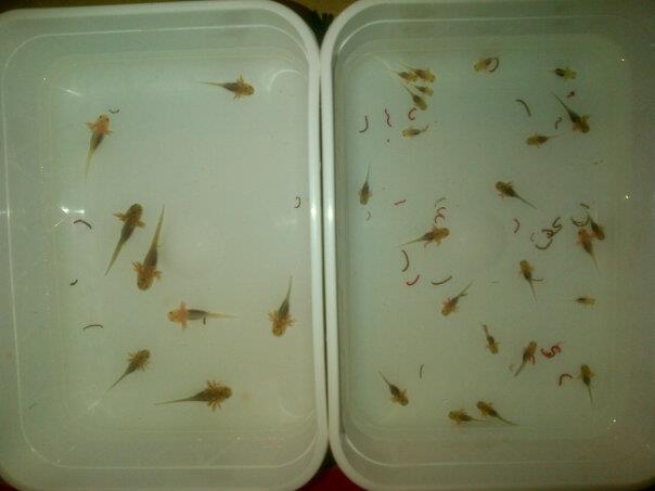 18319 4433528551043 1684863182 n[3]