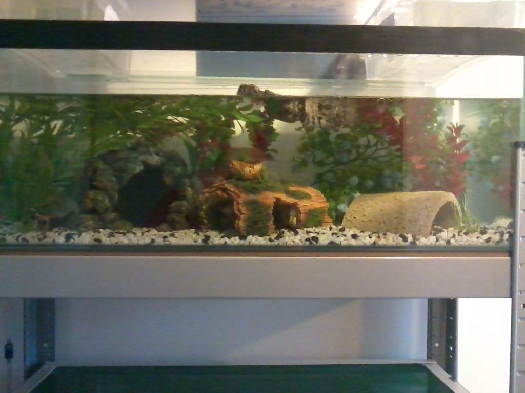 2012 07 14 20.05.06