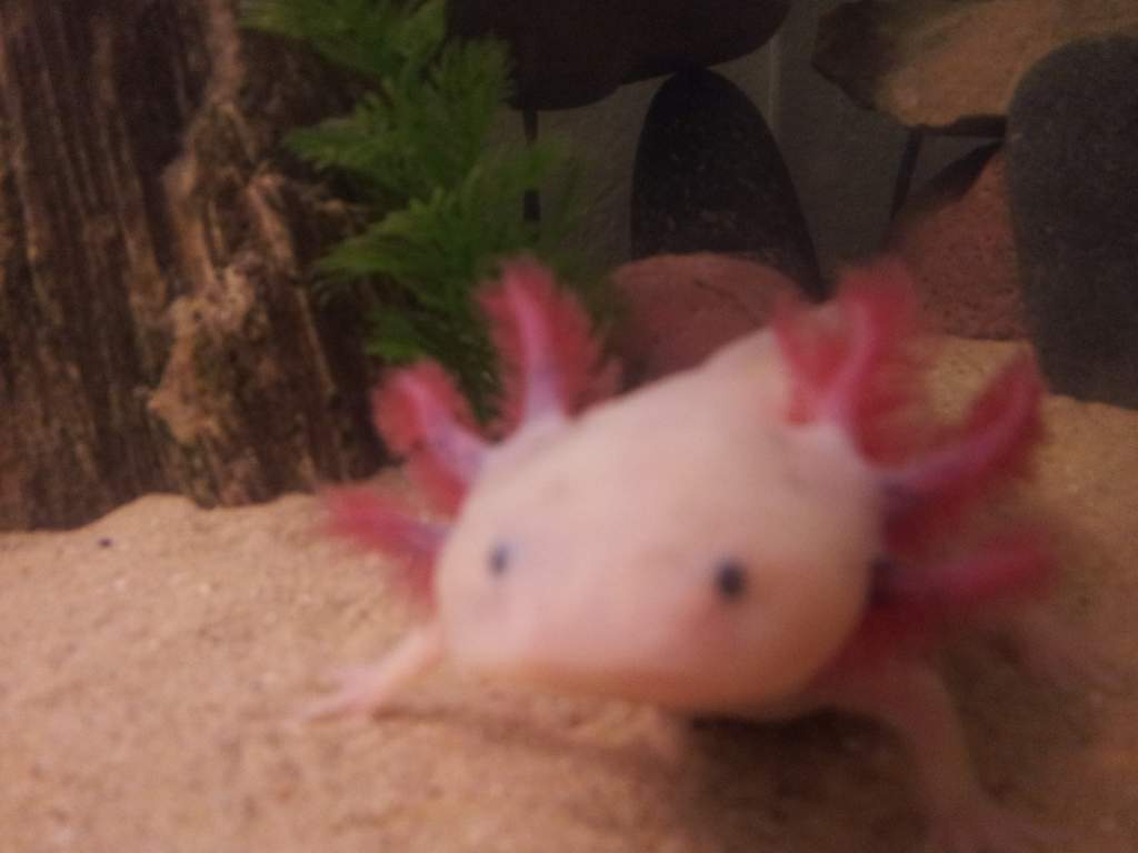 20121231 203939