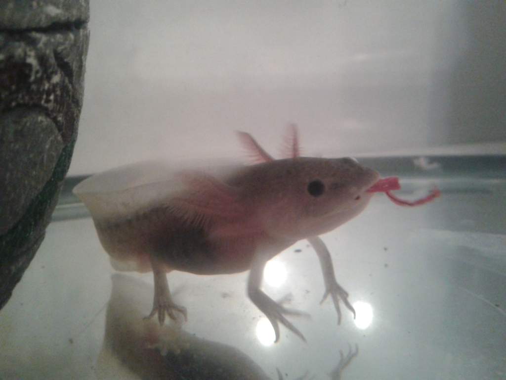 2013 01 30 20.25.51