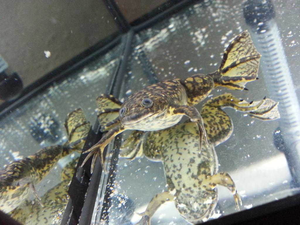 20130125 225757 zps45e51f25