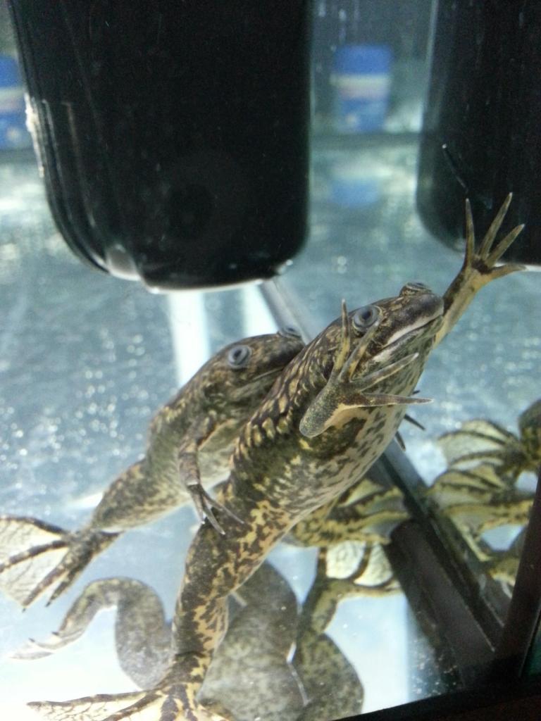 20130129 235942 zpsabe78d10