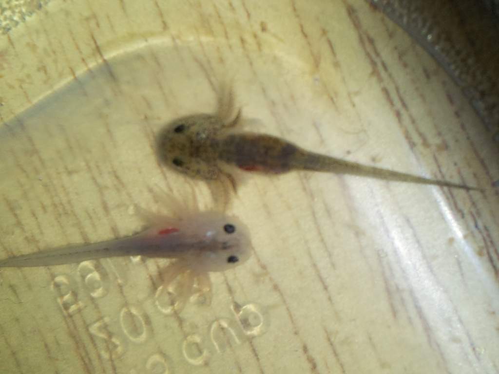 20130211 004318